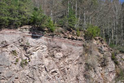 Steinbruch im Granit bei Alpirsbach – Auflagerung Deckgebirge über Grundgebirge Blick auf eine Steinbruchwand, die sich nahe einem Wald befindet. Das hellgraue, teils rötliche Gestein weist im unteren Teil eine schräge Schichtung auf. Unterhalb der bewaldeten Kuppe liegen waagrechte Schichtungen auf.