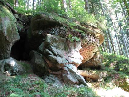Buntsandstein-Felsen mit Löchersandstein, Alpirsbach Blick auf einen nach rechts vorspringenden Felsen mit flacher, bewachsener Kuppe und löchriger Unterseite. Im Vordergrund wird der Felsen durch einen zweiten Felsblock abgestützt. Die Felsgruppe befindet sich an einem Waldhang.