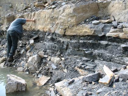 Haßmersheim-Schichten, Oberer Muschelkalk, Haigerloch Blick auf eine niedrige Steinbruchwand mit größeren gelben Blöcken oben und schwarzgrau gestreiften Stufen darunter. Links steht Wasser.