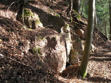 Das Bild zeigt einen nach rechts abfallenden, felsigen Waldhang. Am linken Bildrand sowie oben bedeckt welkes Laub das rötlich graue Gestein.