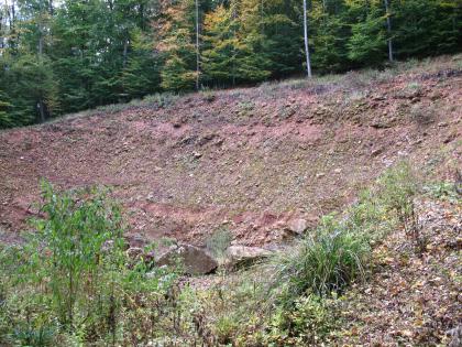 Konglomerat (Küstenkonglomerat-Formation, Oberrheingraben-Tertiär), Bollschweil Mehrere Meter mächtiger Aufschluss aus bröckeligem, dunkelrotem Gestein. Dahinter befindet sich ein Wald.