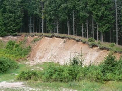 Granitgrusgrube westlich des Schluchsees Blick auf eine langgezogene, zum rechten Vordergrund hin leicht abfallende Steingrube. Die hellbraune, links bewachsene Grube hat die Form einer Böschung und befindet sich am Rand eines dichten Nadelwaldes. Im Vordergrund wachsen junge Bäume.
