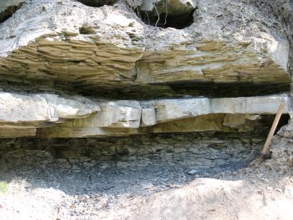 Unterer Muschelkalk, Dietfurt im Wutachtal Nahaufnahme zweier Schichten hellgrauen und gelblichen Gesteins, in das tiefe Nischen geschnitten sind. Am Boden rechts lehnt ein Hammer, um die Höhe anzuzeigen.