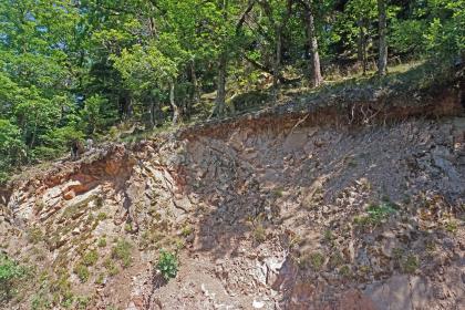 Aufschluss im Granitporphyr im Schlüchttal wenig östlich der Witznauer Säge (Lkr. Waldshut-Tiengen) Seitlicher Blick auf einen nach rechts ansteigenden, rötlich grauen Gesteinsaufschluss. Der obere Abschluss besteht aus einer Bodendecke mit Wurzeln von Bäumen und Sträuchern.