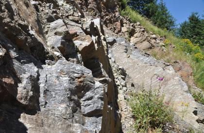 Gneisaufschluss bei Utzenfeld (Gneisanatexit) Nahaufnahme einer von Rissen und Vertiefungen durchzogenen, rötlich grauen Felswand. Rechts daneben sind weitere, abwärts laufende Felsbildungen zu sehen; durchbrochen und ergänzt von blühenden Pflanzen und Grün.