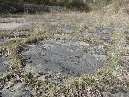Rippelmarken im Hauptsandstein des Lettenkeupers bei Garnberg Das Bild zeigt mehrere von Wasser bedeckte und von Gras umgrenzte Flächen. Die größte, in der Mitte liegende Fläche ist kreisförmig. Unter dem sehr niedrig stehenden Wasser zeigen sich flache, rippenartig geformte Erhebungen.
