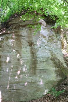 Steinbruch am Sturz östlich von Gaildorf-Eutendorf Blick auf eine hohe, massive Gesteinswand. Das graue Gestein hat mehrere senkrecht verlaufende, bräunliche Verfärbungen. Unterhalb der mit Grünpflanzen bewachsenen Kuppe liegen dünnbankige Steinschichten an.