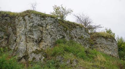 Blick auf eine Wand aus grauem Kalkstein. Das Gestein ist an einem Berghang aufgeschlossen. Der Hang fällt nach rechts hin ab. Oben und am Fuß der Kalkwand findet sich Bewuchs.