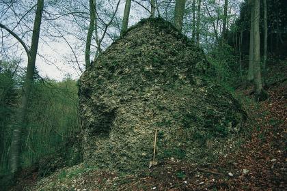 Bei einer Hangrutschung abgestürzte Brekzie aus durch Kalkausfällungen verbackenem Hangschutt („Nägelefels“) am Albtrauf östlich von Bisingen-Thanheim Das Bild zeigt einen mächtigen, quadratisch aussehenden, felsähnlichen Brocken aus Schutt und Erde, der an einem bewaldeten Steilhang zum Stehen gekommen ist.