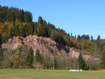 Das Bild zeigt die offene Seite eines Steinbruches, halb verdeckt von Bäumen. Das rötliche, nach rechts absinkende Gestein ist auf der welligen Kuppe bewaldet.