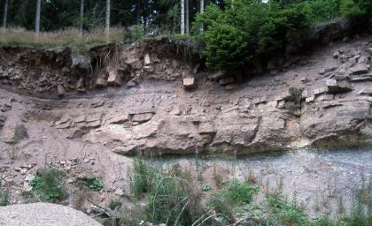 Buntsandstein über Granitzersatz – Steinbruch bei Grafenhausen-Balzhausen, am Ostrand des Südschwarzwalds Das Bild zeigt die unter Wald liegende, meist rötlich braune Wand eines Steinbruches. Das unter der Kuppe bröckelige Gestein hat in der Mitte einen glatteren Verlauf, ehe rechts unten eine völlig andere, eher bläulich gefärbte Schicht folgt.