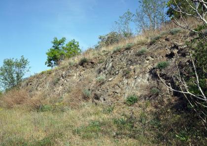 Terrassenböschung im Olivinnephelinit am Südhang des Lützelbergs bei Sasbach am Kaiserstuhl Blick auf eine nach rechts aufsteigende Böschung, teils bewachsen, teils mit freiliegendem Gestein.