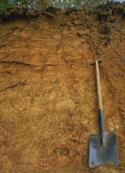 Lösslehm in der ehemaligen Lehmgrube am Blindenreisach nordöstlich von Weissach im Tal-Unterweissach Leicht perspektivischer Blick auf eine rötlich braune Grubenwand aus Lösslehm. Die Wand ist an der oberen Grenze bewachsen und durchwurzelt. Ein angelehnter Spaten rechts zeigt die Größenverhältnisse an.