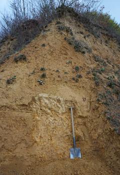 Südliche Ecke der Abbauwand in der ehemaligen Lehmgrube am Blindenreisach nordöstlich von Weissach im Tal-Unterweissach  Das Bild zeigt die Abbauwand einer Lehmgrube. Das rötlich braune Bodenmaterial ist rechts und im oberen Teil bewachsen. Ein angelehnter Spaten verweist auf die Höhe der Grubenwand.