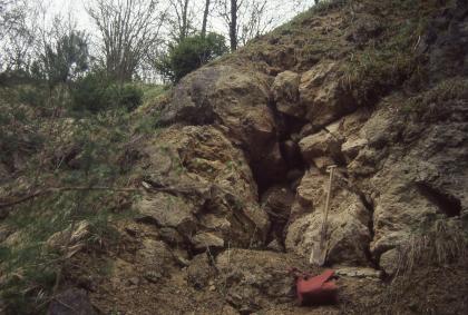 Alter Abbau in einem pleistozänen Kalktuffvorkommen im Dießener Tal nordwestlich von Horb-Dettingen Das Bild zeigt einen nach rechts ansteigenden, aus groben graubraunen Steinblöcken bestehenden, oben und an der Seite bewachsenen Hügel. Etwa in der Mitte zeigt sich eine höhlenartige Vertiefung.
