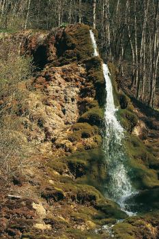 Durch die Abscheidung von Kalziumkarbonat an Quellaustritten haben sich in manchen Tälern an den Unterhängen ausgedehnte Kalktuffpolster gebildet Das Bild zeigt einen kleinen, schmalen Wasserfall an einer offenen Stelle eines bewaldeten Hanges. Die vom Wasser umspülten Bereiche sind grün bemoost, die übrigen hellbraun oder dunkelbraun.
