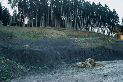 Tongrube im Mitteljura am Fuß des Wartenbergs Blick auf einen aufgeschnittenen Waldhang mit am Hangfuß schwarzgrauem Bodenmaterial.