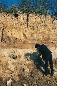 Parabraunerde aus lösslehmreichen Fließerden (Deck- und Mittellage bis ca. 8,5 dm u. Fl.) über geschichteten jungrißzeitlichen Seesedimenten Das Bild zeigt ein etwa vier Meter hohes Bodenprofil. Die Kuppe des gelblich braunen Profils ist bewachsen. In der Mitte verläuft ein waagrechter, rötlicher Streifen. Ein Mann in dunkler Kleidung glättet unten rechts das Profil mit einer Schaufel.