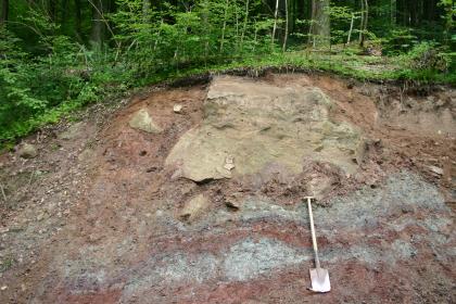 Als Rutschmassen verlagerte Sandsteinblöcke und Tongestein am Unterhang der Wieslaufschlucht (L206) Das Bild zeigt offenen Boden an einem Waldhang. Der Boden ist hellbraun, im unteren Teil grau/violett gestreift. Ein größerer Felsblock liegt im oberen Teil des Hanges. Ein darunter angelehnter Spaten dient als Größenvergleich.