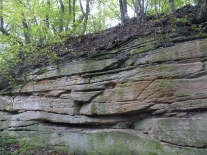 Lettenkeuper-Hauptsandstein in Flutfazies Das Bild zeigt einen aufgelassenen Steinbruch. In Nahsicht sind dabei mehrere Schichten grob gebankter, graugrüner und rötlich brauner Steine zu sehen. Der obere Rand des Bruches ist mit Erde bedeckt und von Bäumen bewachsen.