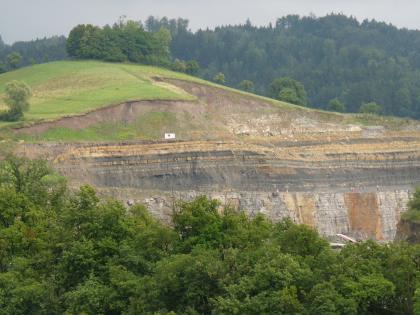 Steinbruch bei Vellberg-Eschenau Hinter einem Baumstreifen zeigt sich die aufgeschnittene Seite eines großen Hügels. Von unten nach oben sieht man hellgrau-braunes Gestein; darüber verlaufen dunkelgraue und gelbe Bänder. Hinter der halbrunden, grünen Kuppe des Hügels erhebt sich Wald.