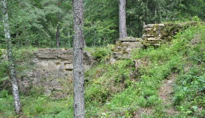 Im ehemaligen Sandsteinbruch (Oberkeuper) auf dem Kirnberg Das Bild zeigt treppenartig aufgebaute, nach rechts ansteigende Gesteinsreste an einem von Pflanzen überwucherten Hang. Baumstämme im Vorder- und Hintergrund zeigen einen Waldstandort an.