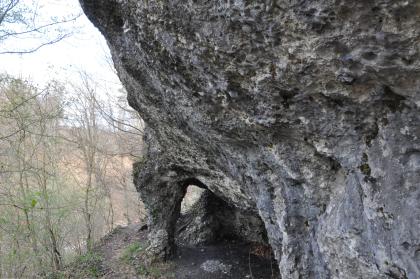 Die Nagelfluhhöhle bei Rheinfelden-Riedmatt im Tieferen Hochrhein-Deckenschotter Das Bild zeigt eine rechts aufragende dunkelgraue, mit rundlichen Einkerbungen übersäte Felswand. Unten führt ein Weg durch eine von Säulen gestützte Nische. Links führt ein Hang abwärts. Er ist von schlanken Bäumen gesäumt.