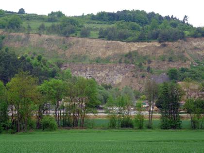 Steinbruch im Unteren und Mittleren Muschelkalk im Balbachtal bei Lauda-Königshofen Hinter einer mit Bäumen bestandenen Grünfläche erheben sich mehrere Sohlen eines Steinbruches. Die unterschiedlich gebankten und von braun bis gelbbraun gefärbten Gesteinsschichten sind teilweise bewachsen. Auch die Hangkuppe ist dicht bewachsen.