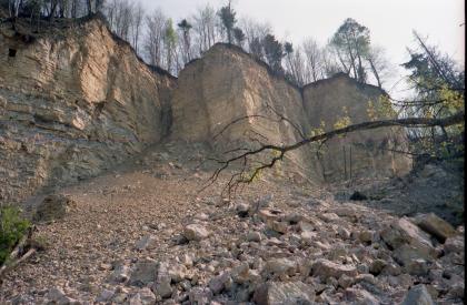Abrisswand mit absitzender Scholle Blick auf im zick-zack verlaufende, turmartige Felswände mit bewaldeten Kuppen. Am Fuß der Felswände häuft sich abgerutschtes Gestein.