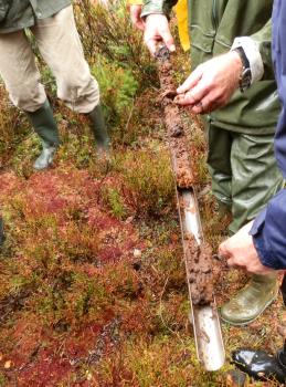Begutachtung einer Torfprobe im Fohrenmoos bei Ibach Abwärts gerichteter Blick auf rotgrünen Torfboden sowie auf die Beine und Hände mehrerer Personen, die aus einem langen, offenen Bohrzylinder Bodenproben entnehmen.