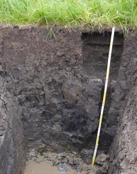 Pseudogley-Kolluvium über humosem Pelosol-Pseudogley im Verbreitungsgebiet der Opalinuston-Formation Das Foto zeigt ein Bodenprofil unter Grünland. Das schwärzlich graue, am Fuß der Grube wasserführende Profil ist 1,20 m tief.