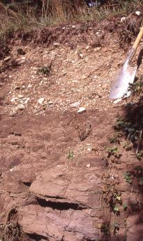 Braunerde aus geringmächtigen Wutachschottern über Schilfsandstein (Stuttgart-Formation) bei Wutach-Ewattingen Das Foto zeigt einen Aufschluss unterhalb einer Grasdecke. Der obere Teil des rötlich braunen Bodens ist mit Schotter bedeckt.