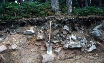 Podsol aus Hangschutt des Mittleren Buntsandsteins unterhalb eines isolierten Buntsandstein-Plateaus südwestlich von Schiltach Blick auf mit Erde verbackene Blocksteine an einem Waldhang. In der Bildmitte dient ein Spaten als Tiefenangabe.