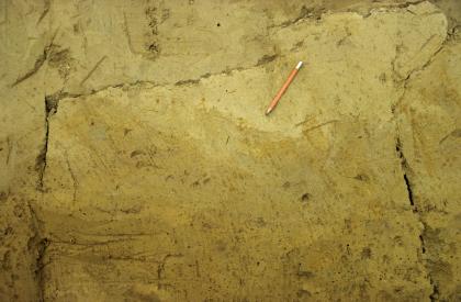 Kryoturbate Vernässungszone oberhalb des Lohner Bodens in der Kiesgrube zwischen Laupheim und Burgrieden-Hochstetten Nahaufnahme eines Bodenprofils in einer Kiesgrube. Die Profilwand zeigt eine olivbraune Färbung sowie vertikal und horizontal verlaufende Risse. Ein Schreibstift dient als Größenvergleich.