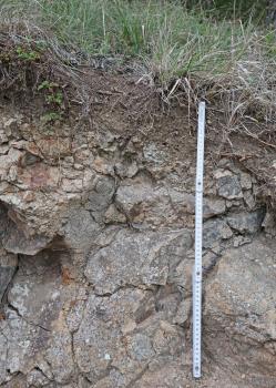 Geringmächtige Bodenbildung (Pararendzina) aus miozänem Deckentuff am Hohentwiel zwischen Hilzingen und Singen (Lkr. Konstanz) Teilansicht eines etwa sechzig Zentimeter tiefen Profils mit dunkelgrauem, splittrigem Gestein. Oben liegt nur eine dünne Bodendecke mit Grasbewuchs auf.