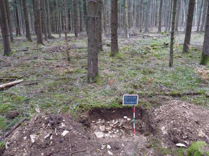 Flach entwickelte Braunerde-Terra fusca aus Rückstandston der Kalksteinverwitterung der Wohlgeschichtete-Kalke-Formation Das Foto zeigt ein Bodenprofil unter Wald. Es handelt sich um ein Musterprofil des LGRB. Das Profil ist etwa 50 cm tief.