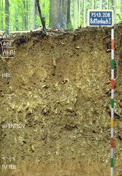 Tief entwickelte Parabraunerde aus mehrschichtiger Paragneisschutt führender Fließerde Blick auf ein Musterprofil des LGRB unter Wald. Die sichtbare Profilwand ist ockerbraun, in sechs Bodenhorizonte eingeteilt und 150 Zentimeter tief. Rechts oben gibt eine Tafel Nummer und Name des Profils an.