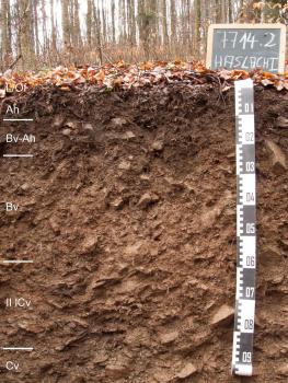 Das Foto zeigt ein Bodenprofil des LGRB unter Wald. Das in fünf Horizonte gegliederte, rötliche bis graubraune Profil hat eine Tiefe von 95 cm. Rechts oben zeigt eine Tafel den Namen und die Nummer des Profils an.