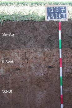 Parabraunerde-Pseudogley aus pleistozänen lösslehmhaltigen Fließerden Das Bild zeigt ein aufgegrabenes Bodenprofil unter Acker. Das Profil ist durch eine beschriftete Kreidetafel als Musterprofil des LGRB ausgewiesen. Das graubraune, in der Mitte von einem helleren Streifen durchzogene Profil ist 1 m tief.