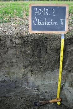 Kalkreicher toniger Lehmboden (Pararendzina) auf Mergelstein der Grabfeld-Formation Das Foto zeigt ein Bodenprofil unter Acker. Das dunkelgraue Bodenprofil ist etwa 60 cm tief.