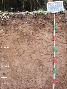 Tief entwickelte Pseudogley-Parabraunerde aus lösslehmreichen Fließerden (Deck- über Mittellage) auf lehmiger Buntsandstein-Fließerde (Basislage) (b94) Das Foto zeigt ein Bodenprofil des LGRB unter Wald. Das in fünf Horizonte gegliederte, rötlich braune Profil hat eine Tiefe von 1,40 m. Rechts oben zeigt eine Tafel den Namen und die Nummer des Profils an.