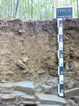 Pseudogley-Braunerde, lessiviert, aus lösslehmreichen Fließerden über Sandstein des Unteren Muschelkalks Blick auf ein gelblich graues, oben schwärzliches Musterprofil des LGRB. Die sichtbare Profilwand liegt unter Wald und führt am unteren Ende größere Gesteinsplatten. Das Profil ist in fünf Horizonte gegliedert und etwa einen Meter tief.