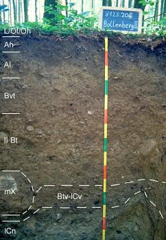 Tief entwickelte Parabraunerde aus spätglazialer Fließerde über würmzeitlichem Moränenmaterial (U64) Das Foto zeigt ein Bodenprofil unter Wald. Es handelt sich um ein Musterprofil des LGRB. Das acht Horizonte umfassende Profil ist 1,50 m tief.
