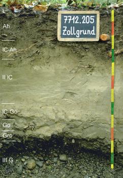 Auengley-Auenpararendzina aus Auenlehm über schluffig-feinsandigem Hochwassersediment (Auenmergel) Blick auf ein Musterprofil des LGRB. Die sichtbare, oben braune, mittig hellgraubraune und unten kiesige Profilwand ist in acht Horizonte eingeteilt. Das Bodenprofil ist einen Meter zwanzig tief. Rechts zeigt eine Tafel Nummer und Name des Profils.