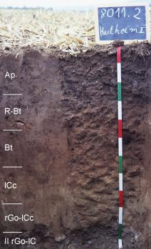 Mäßig tief entwickelte, kalkhaltige, rigolte und erodierte Parabraunerde aus Lösssand (Z93) Das Foto zeigt ein Musterprofil des LGRB unter einem Acker. Die sichtbare Profilwand ist schwärzlich braun bis dunkelbraun, in sechs Horizonte eingeteilt und 120 Zentimeter tief.