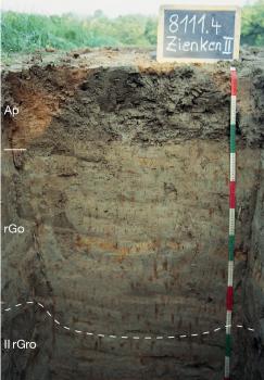 Kalkreicher Auengley aus Auenlehm über Auensand auf Flussschotter (humose Pararendzina mit reliktischen Gleymerkmalen) Das Bild zeigt ein Bodenprofil unter Acker. Es handelt sich um ein Musterprofil des LGRB. Das in drei Horizonte unterteile Profil ist 1,20 m tief.