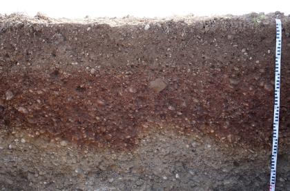 Das Bild zeigt den oberen Teil eines aufgegrabenen Bodenprofils unter Acker. Der gezeigte Teil des rötlich braunen bis grauen Profils ist 1 m tief.