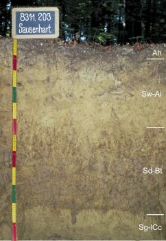 Tief entwickelte Pseudogley-Parabraunerde aus Löss Musterprofil eines Bodens mit hellbraunen bis gräulichen Horizonten. Links befindet sich ein bunter Maßstab mit einem beschrifteten Schild darüber, rechts die Beschreibung der einzelnen Horizonte.