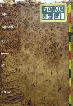Mittel tief entwickelte erodierte Parabraunerde aus würmzeitlichem Löss Das Foto zeigt ein Bodenprofil unter Acker. Es handelt sich um ein Musterprofil des LGRB. Das in fünf Horizonte gegliederte Profil ist 1,10 m tief.