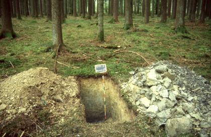 Mäßig tief entwickelte podsolige Pseudogley-Pelosol-Braunerde aus lösslehmreicher Fließerde über tonreicher Lettenkeuper-Fließerde Das Bild zeigt eine offene, rechteckige Grube mitten in einem Wald. Die ausgegrabene Erde ist zu beiden Seiten der Grube aufgehäuft. Rechts besteht die Erde aus groben Schollen, links ist sie feiner.